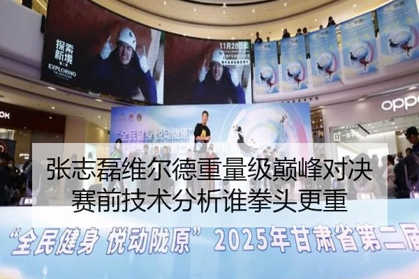 张志磊维尔德重量级巅峰对决 赛前技术分析谁拳头更重